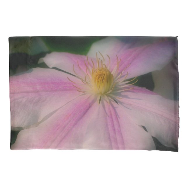 Housse D'oreillers Pétales De Fleurs Clematis Près (devant)