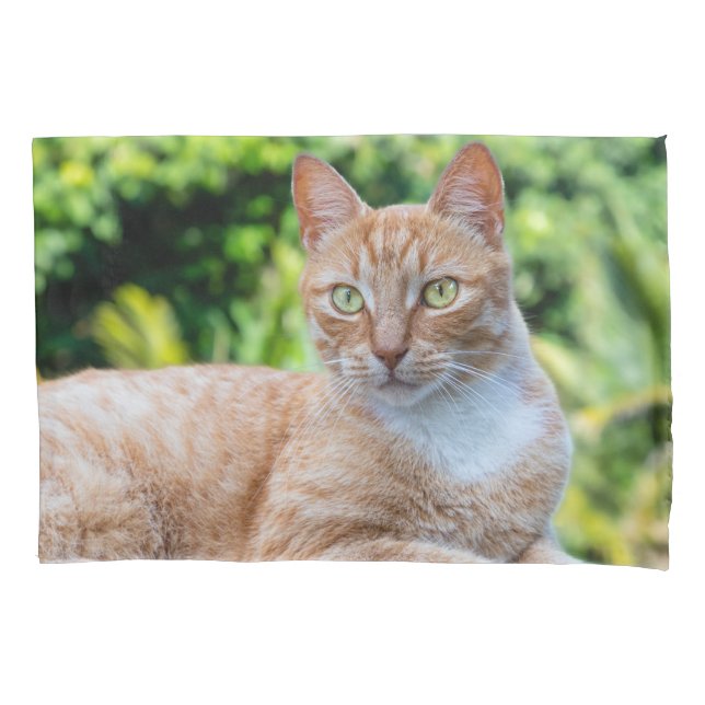 Housse D'oreillers Petit chou doux (devant)