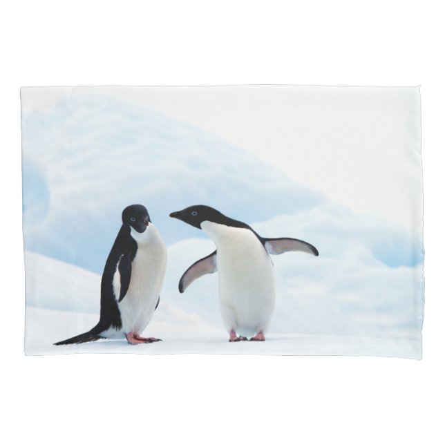 Housse D'oreillers Pingouins d'Adelie (devant)
