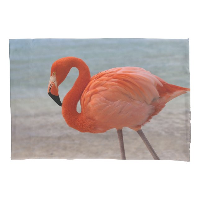 Housse D'oreillers Plages tropicales | Flamant rose des Caraïbes, Aru (devant)