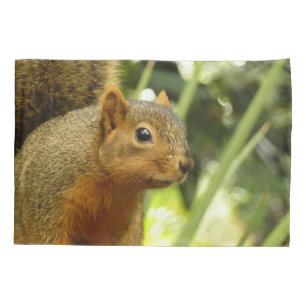 Housse D'oreillers Portrait d'un écureuil Nature Animal Photographie