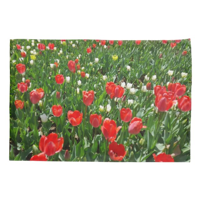 Housse D'oreillers Red Tulip Flower Field Nature Photographie (Dos)