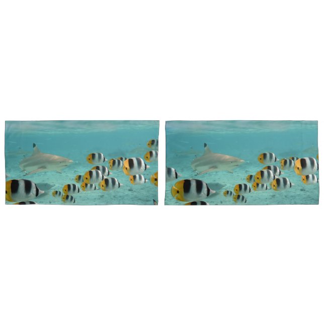 Housse D'oreillers Requin chassant des poissons dans la lagune (devant-Set)