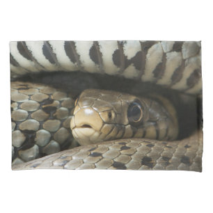 Housse D'oreillers Serpent