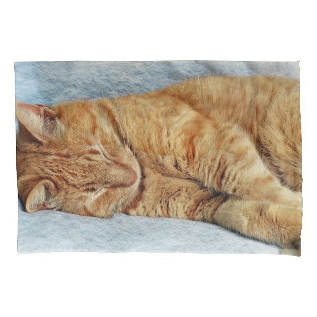 Housse D'oreillers Sleepy Kitty (devant)