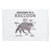 Sweet Raccoon Explication Anatomie D'Un Raccoon