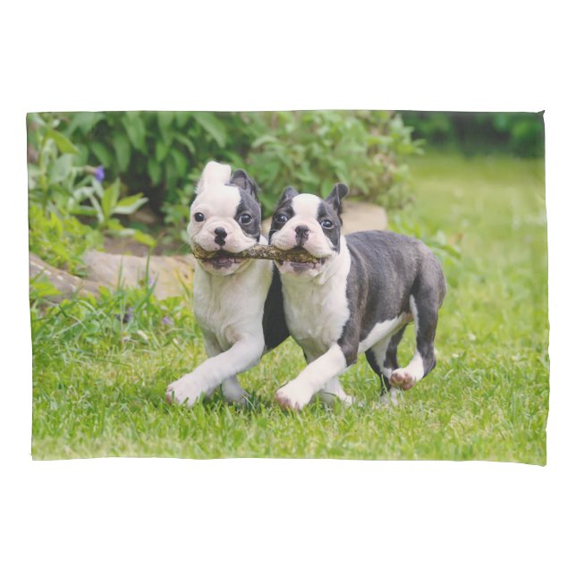 Housse D'oreillers Sympa drôles Boston Terrier chiens chiots jouer - (devant)
