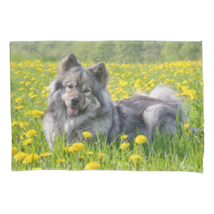 Housse D'oreillers Un mignon chien Eurasier dans un pré-fleur des pou
