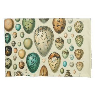 Housse D'oreillers Vintage Bird Eggs French Fish Egg