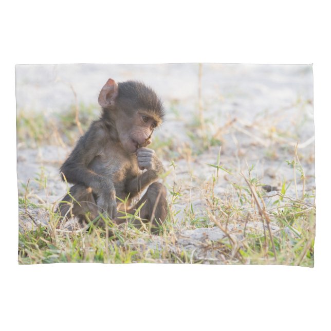 Housse D'oreillers Young Baboon (devant)