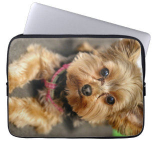 Housse Pour Ordinateur Portable Adorable