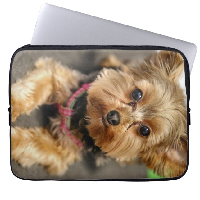 Housse Pour Ordinateur Portable Adorable (Devant)