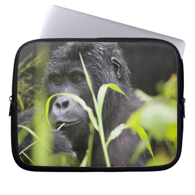 Housse Pour Ordinateur Portable Afrique Ouganda, Bwindi (Devant)