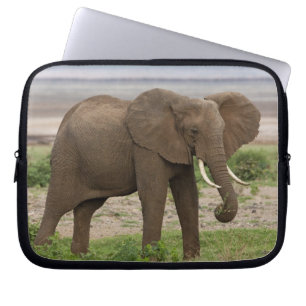 Housse Pour Ordinateur Portable Afrique. Tanzanie. Éléphant au lac Manyara NP.