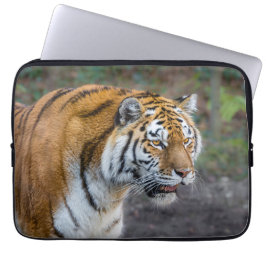 Housse Pour Ordinateur Portable Amur tiger