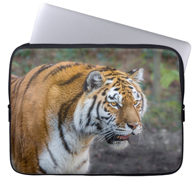 Housse Pour Ordinateur Portable Amur tiger (Devant)