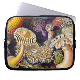 Housse Pour Ordinateur Portable Anémone de mer Nature scientifique Océan