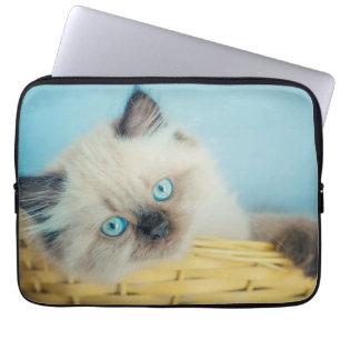 Housse Pour Ordinateur Portable Animaux de bébés cutest Himalaya Seal Point Cat