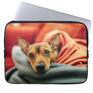 Housse Pour Ordinateur Portable Animaux de bébés cutest Miniature Pinscher