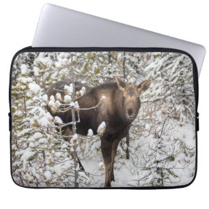 Housse Pour Ordinateur Portable Animaux de bébés cutest Moose Calf