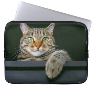 Housse Pour Ordinateur Portable Animaux de bébés cutest Tête de chat gris Tabby