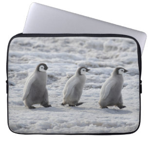 Housse Pour Ordinateur Portable Animaux de bébés cutest   Trois Épouses Penguin Em