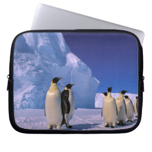 Housse Pour Ordinateur Portable Antarctique, Territoire antarctique australien, 7