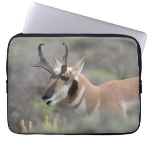 Housse Pour Ordinateur Portable Antilope d'Amérique mâle Grand Tetons