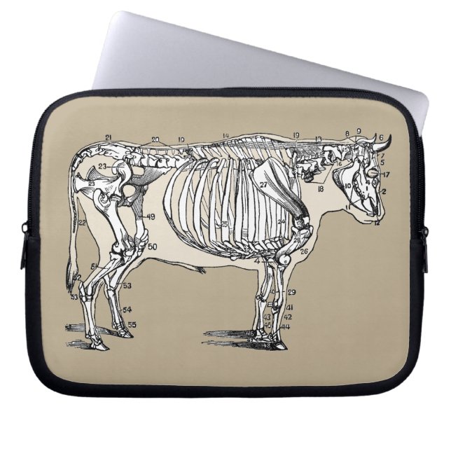 Housse Pour Ordinateur Portable Antique Cow Skeleton Bones (Devant)