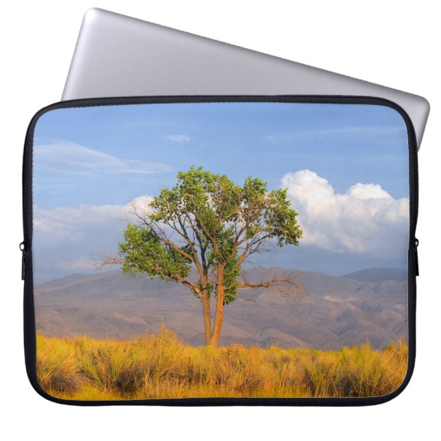 Housse Pour Ordinateur Portable Arbre (Devant)
