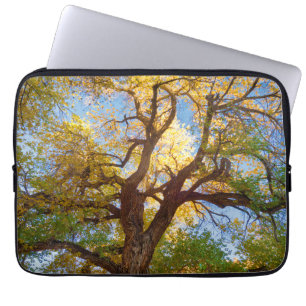 Housse Pour Ordinateur Portable Arbre de Cottonwood   Parc national du récif du Ca