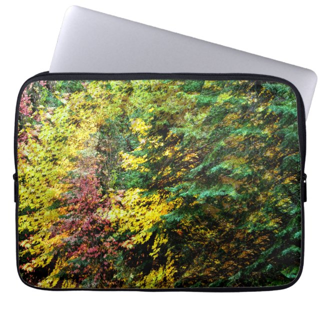 Housse Pour Ordinateur Portable Autumn Whirlwind...... (Devant)