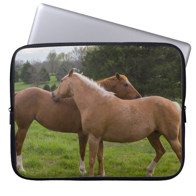 Housse Pour Ordinateur Portable Beautés de bain (Devant)