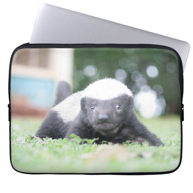 Housse Pour Ordinateur Portable Bébé blaireau au miel (Devant)