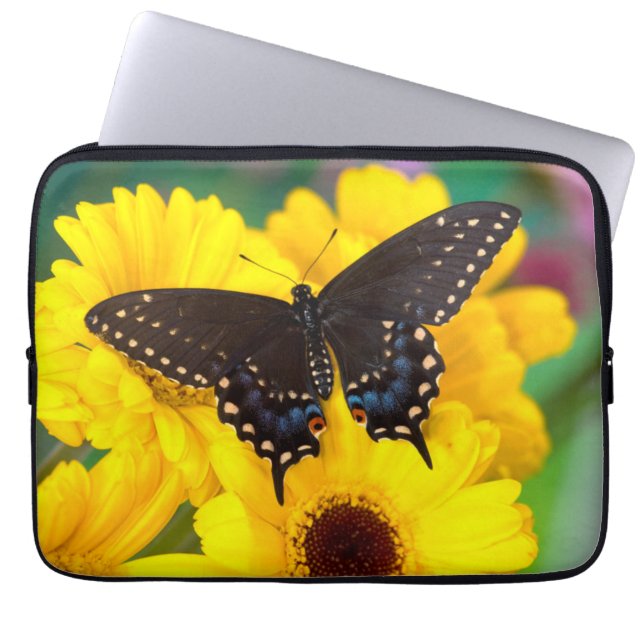 Housse Pour Ordinateur Portable Black Swallowtail (Devant)