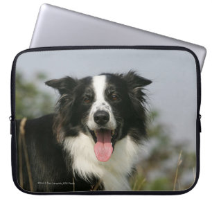 Housse Pour Ordinateur Portable Border collie haletant le Headshot 1