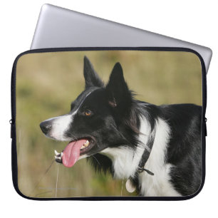 Housse Pour Ordinateur Portable Border collie haletant le Headshot 2
