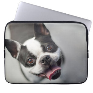 Housse Pour Ordinateur Portable Bouledogue français des images de Getty