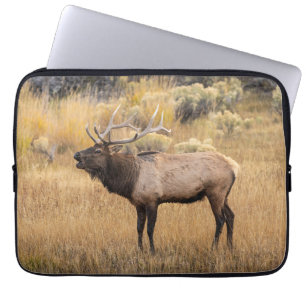 Housse Pour Ordinateur Portable Bull Elk   Parc national de Yellowstone