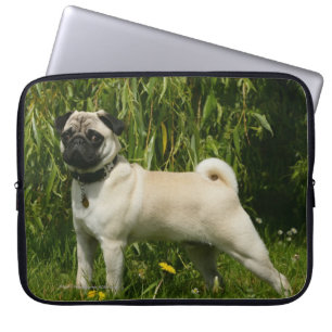 Housse Pour Ordinateur Portable Carlin regardant l'appareil-photo