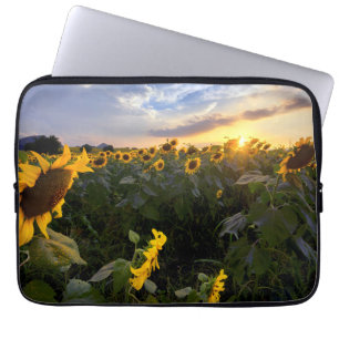 Housse Pour Ordinateur Portable Champ des tournesols de floraison