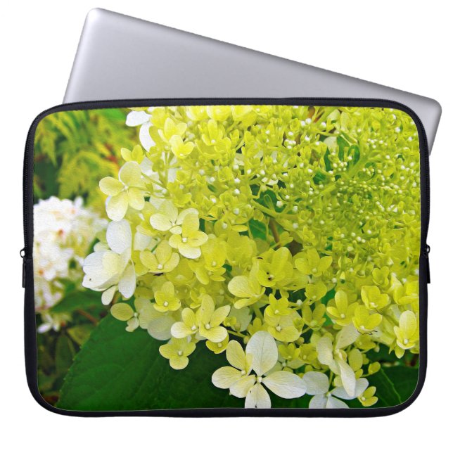 Housse Pour Ordinateur Portable Chartreuse Vert, Limelight Hydrangea, (Devant)