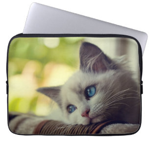 Housse Pour Ordinateur Portable Chaton de Ragdoll