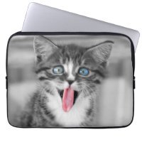 Chaton drôle