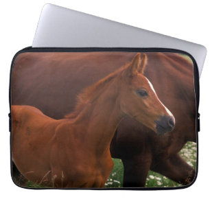 Housse Pour Ordinateur Portable Cheval Arabe près de Mère