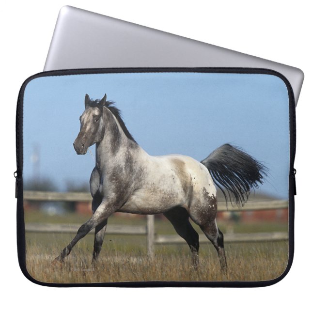 Housse Pour Ordinateur Portable Cheval d'Appaloosa courant 3 (Devant)