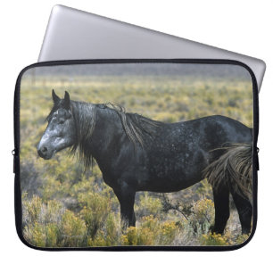 Housse Pour Ordinateur Portable Cheval sauvage de mustang dans le désert