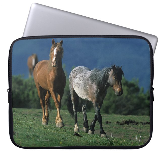 Housse Pour Ordinateur Portable Chevaux sauvages de mustang (Devant)