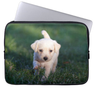 Housse Pour Ordinateur Portable Chien, Animal, Chien