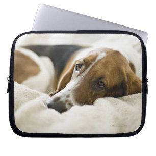 Housse Pour Ordinateur Portable Chien de basset-hound